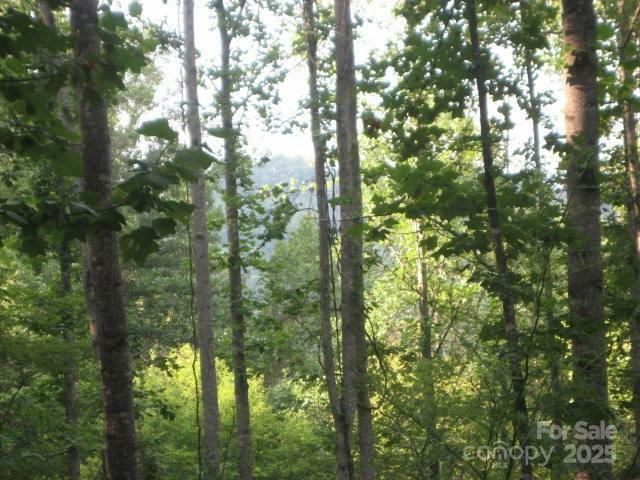 Property Photo:  16 Katua Trail 16  NC 28751 