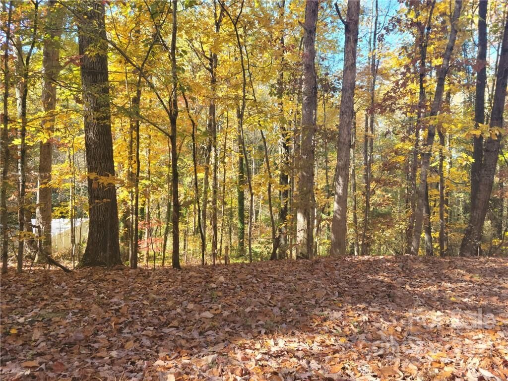 Property Photo: 0 Quail Trail 12 NC 28092