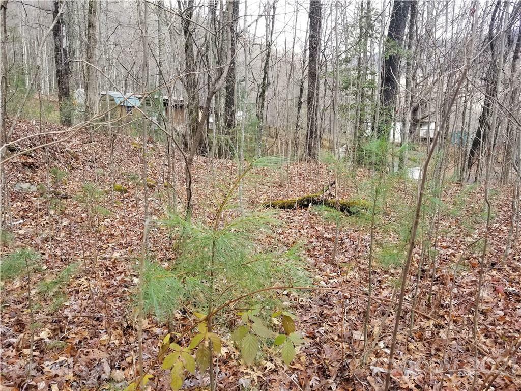 Property Photo:  00 Carpenter Branch Road  NC 28751 