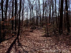 Property Photo:  Lot 78 Phase 3 Hemlock Falls Road 78  NC 28779 