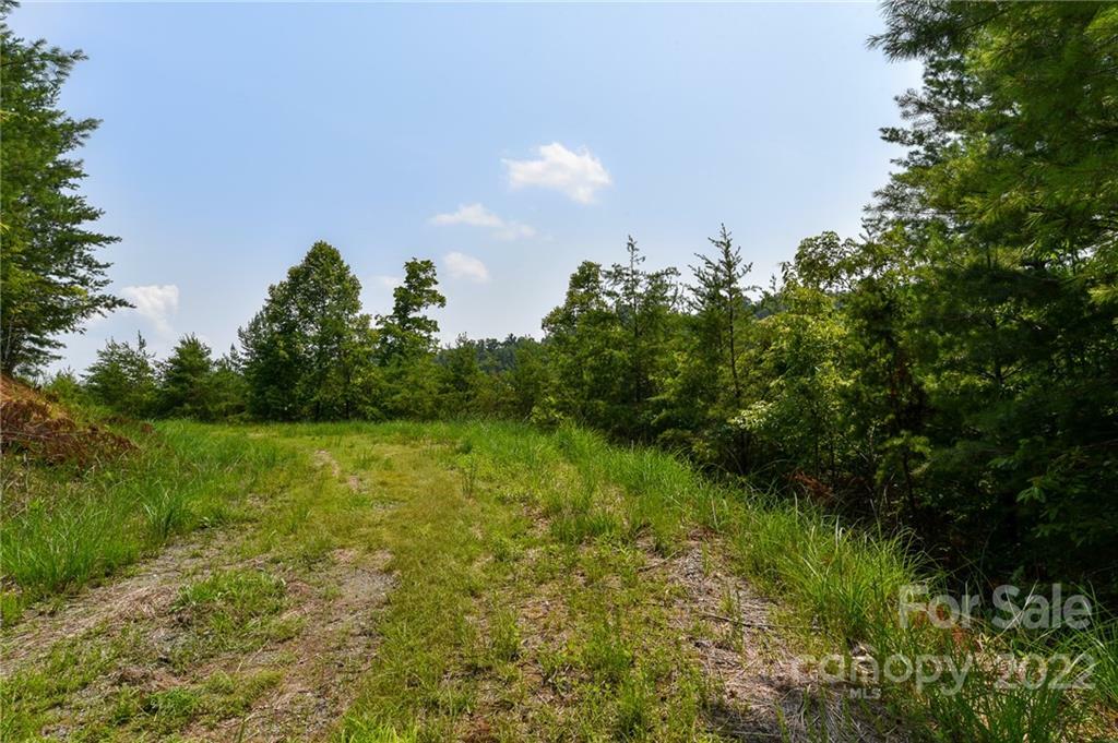 Property Photo:  Lot 11 The Vines Boulevard Lot 11  NC 28753 