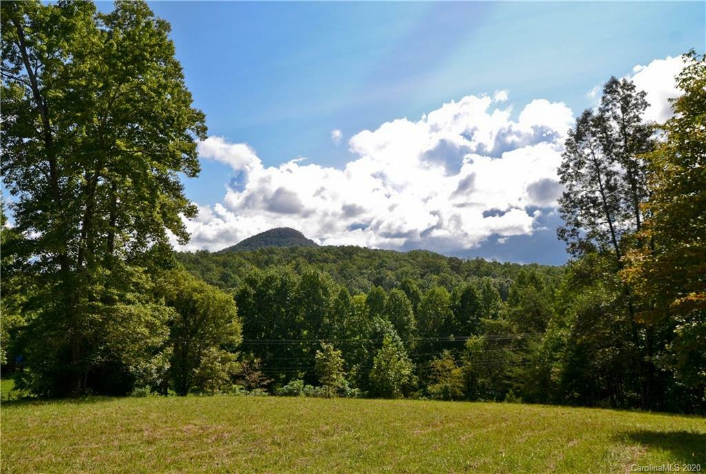 Property Photo:  00 Rockhouse Road  NC 28752 