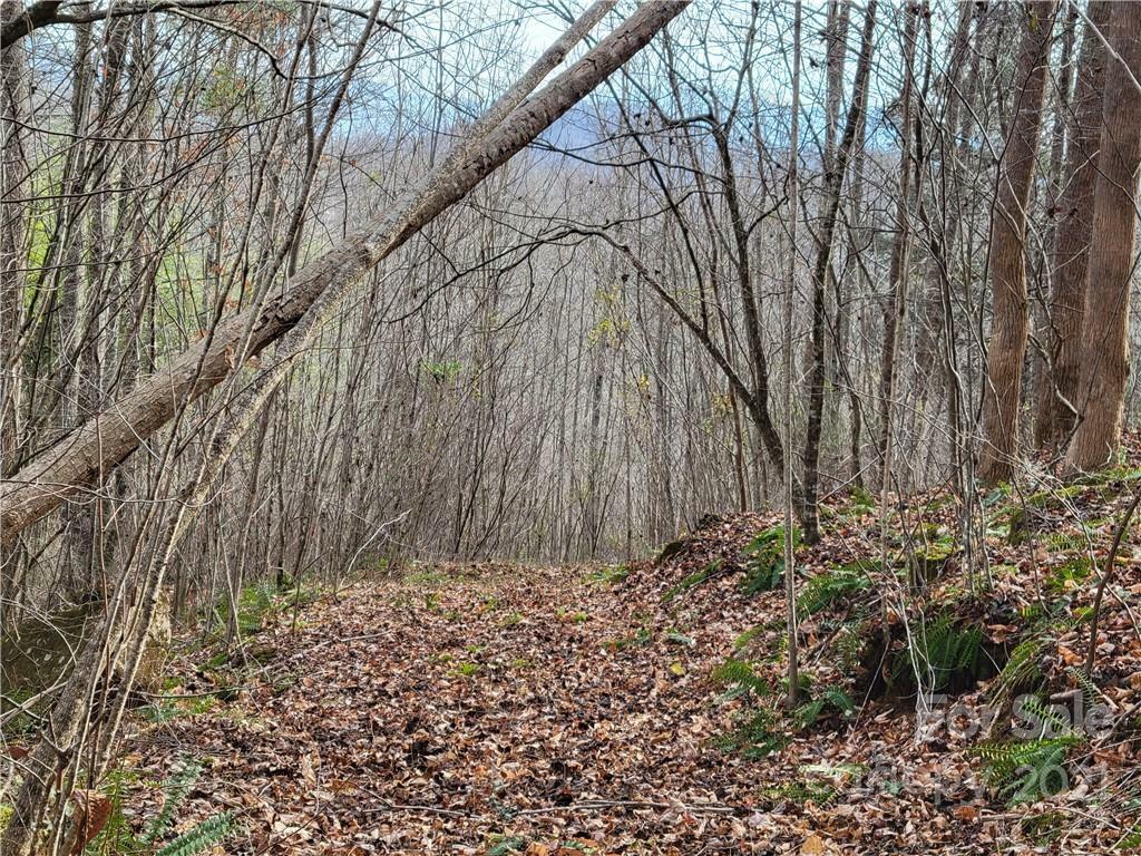 Property Photo:  Tbd Sweet Creek Road  NC 28705 