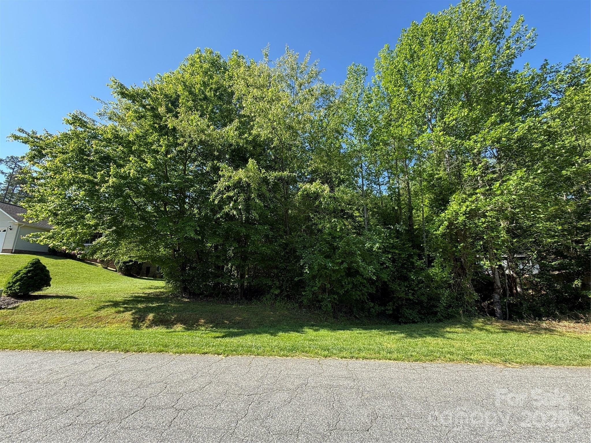 Property Photo: Lot 47 Wittenburg Springs Drive 047 NC 28681