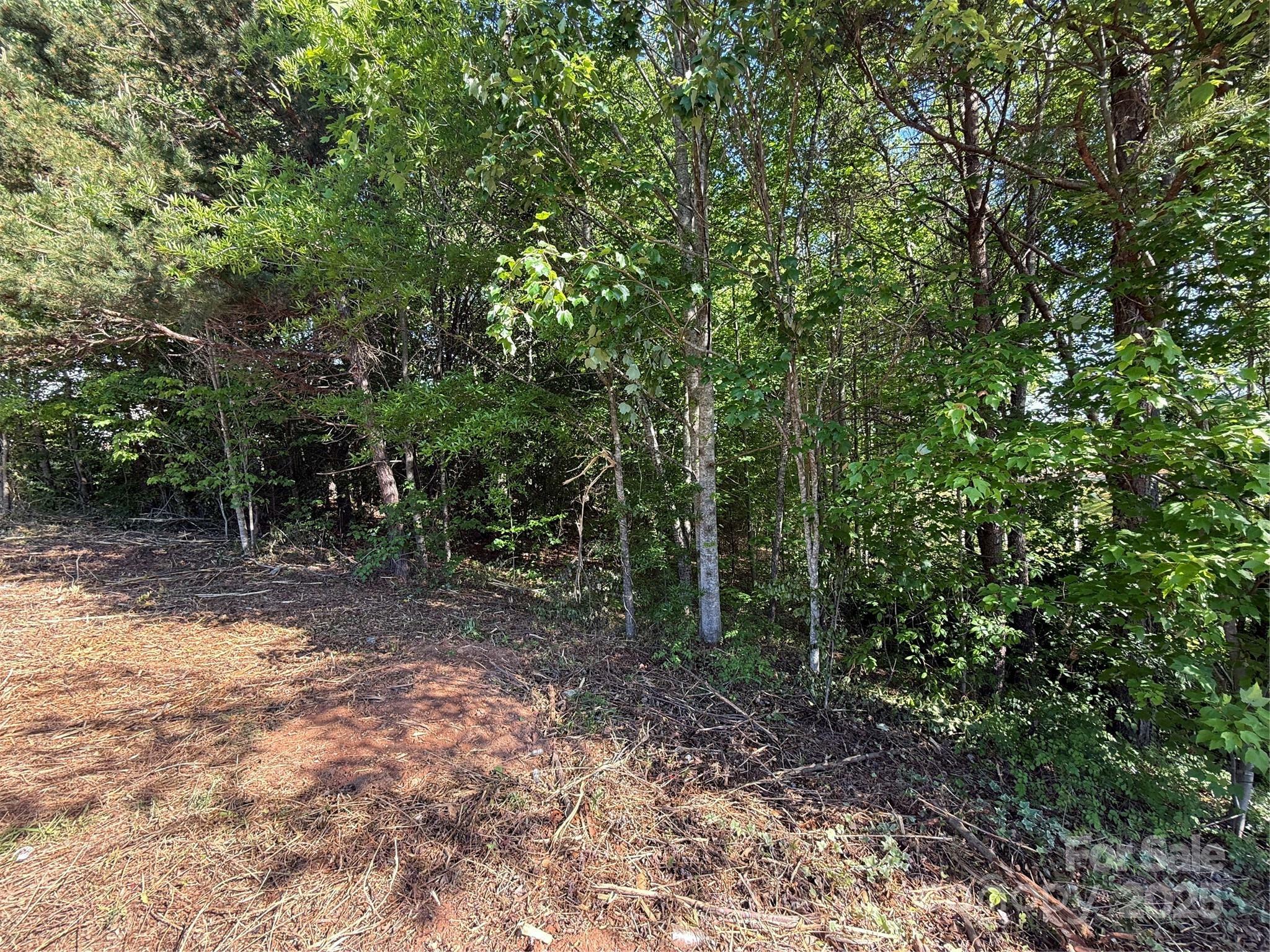 Property Photo: Lot 12 Wittenburg Springs Drive 012 NC 28681