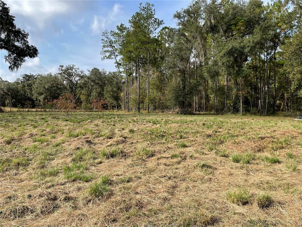 Property Photo:  21278 Hiking Path Trail  FL 34601 