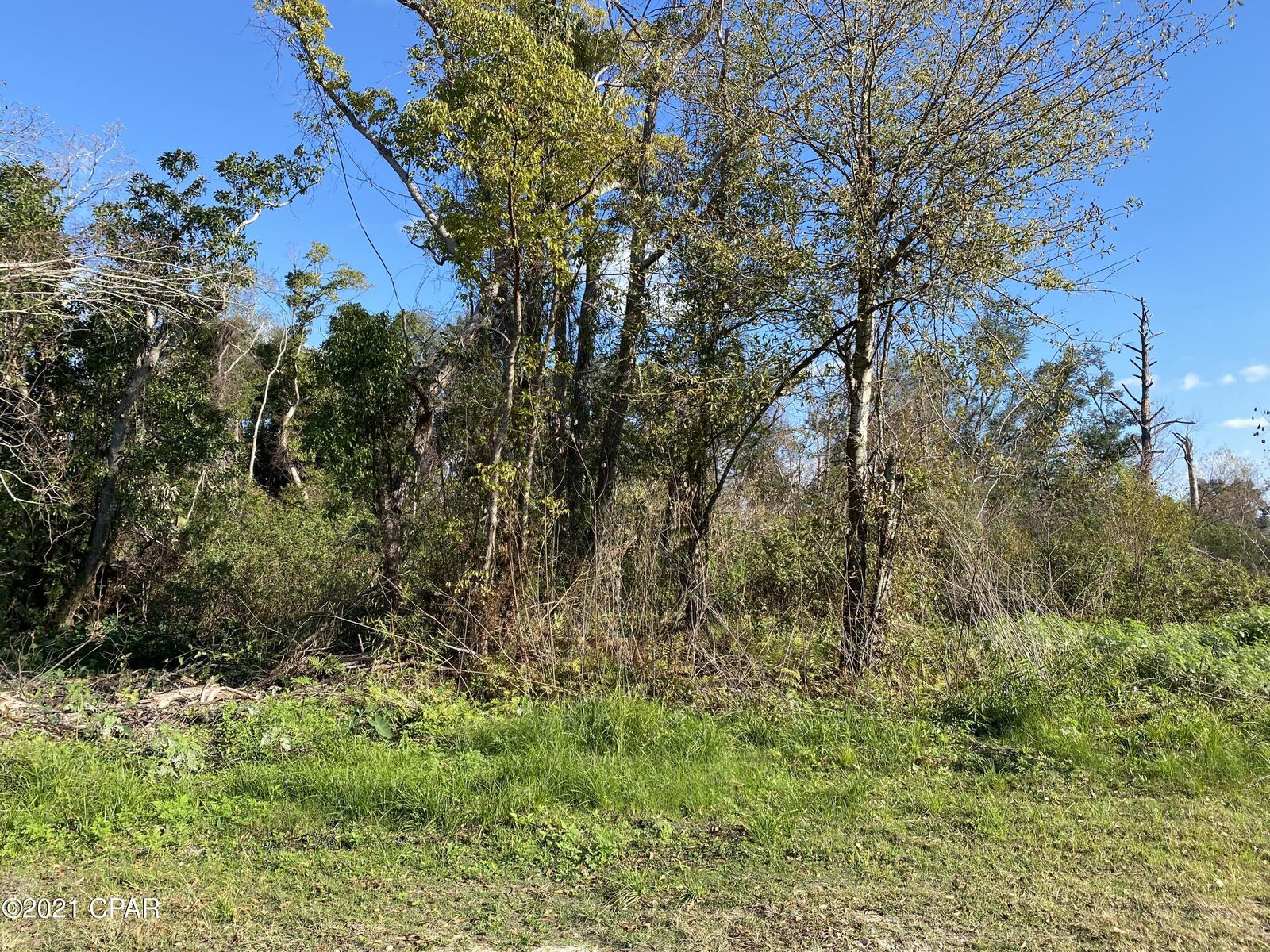 Property Photo:  000 Bayou Avenue  FL 32401 