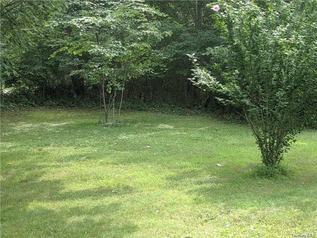 Property Photo:  273 Lewis Lane  NY 12589 