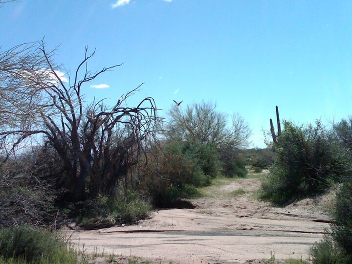 Property Photo: 32xxx N 162nd Street F AZ 85262