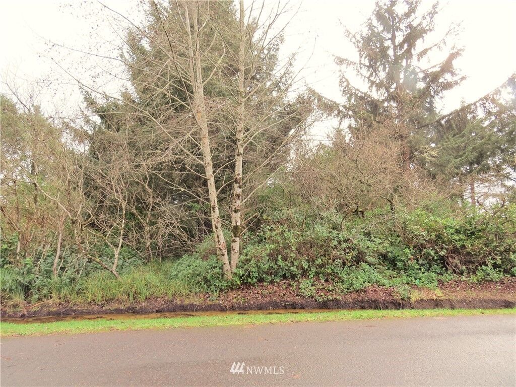 Property Photo:  173 Helm Street SW  WA 98569 