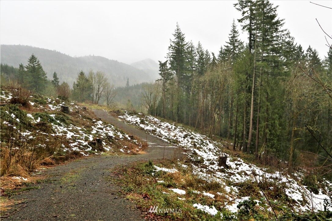 Property Photo: 0 Pauli Drive WA 98626