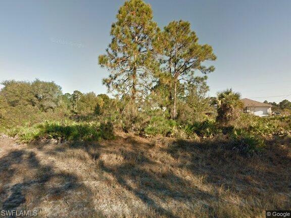 Property Photo:  329 Butler Avenue S  FL 33974 