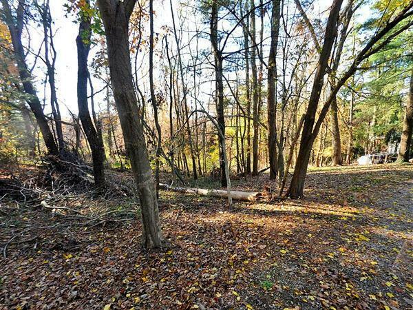 Property Photo: 0 Betty Avenue OH 43056