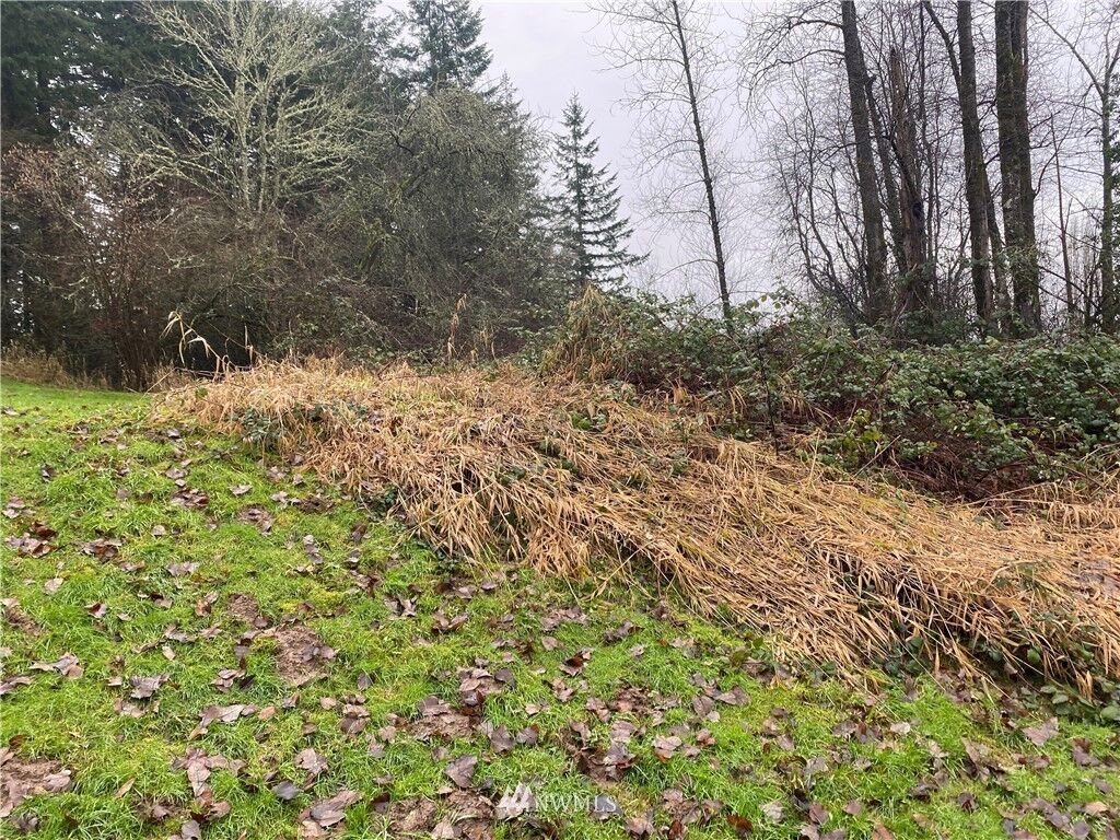 Property Photo:  2148 B Jackson Highway  WA 98532 