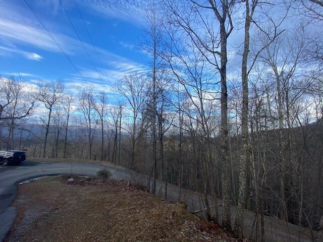 Lot 10 Grey Fox Run  Sevierville TN 37862 photo