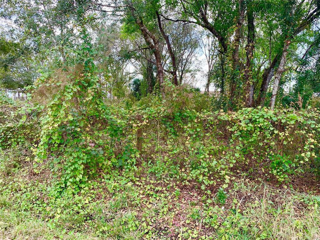 Property Photo: 10149 SW Levsky Avenue FL 34269