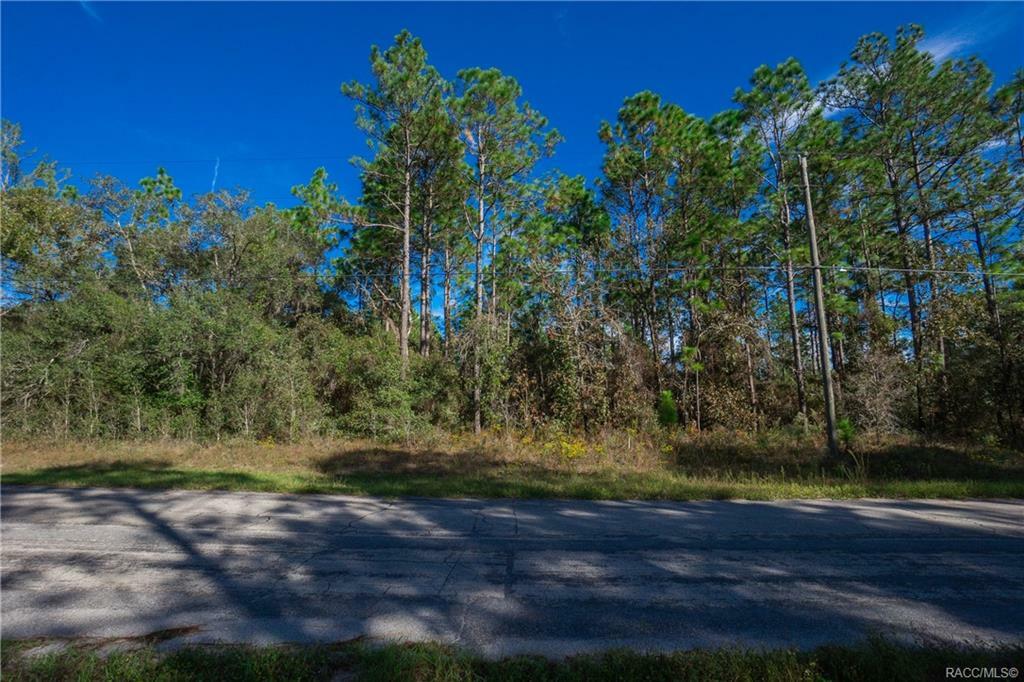 Property Photo:  7723 N Fountainhead Drive  FL 34433 