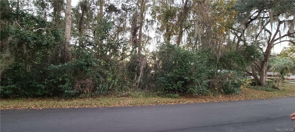 Property Photo:  6950 S Aloysia Avenue  FL 34436 