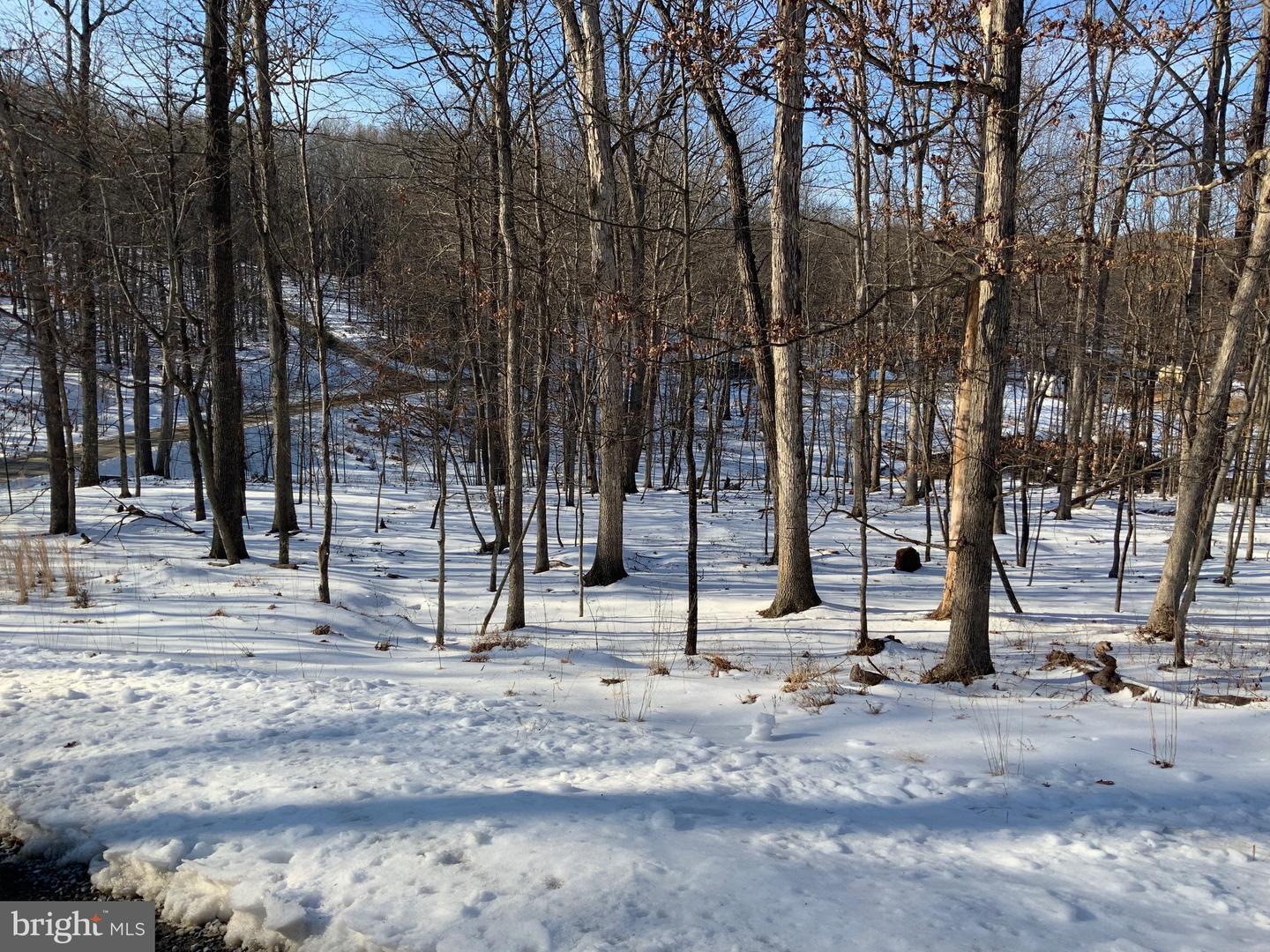 Property Photo: Lot 2A Hollybush Lane WV 25411