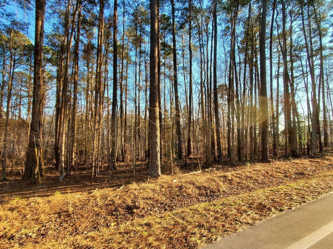 Property Photo:  0 W Nc 97 Highway  NC 27557 