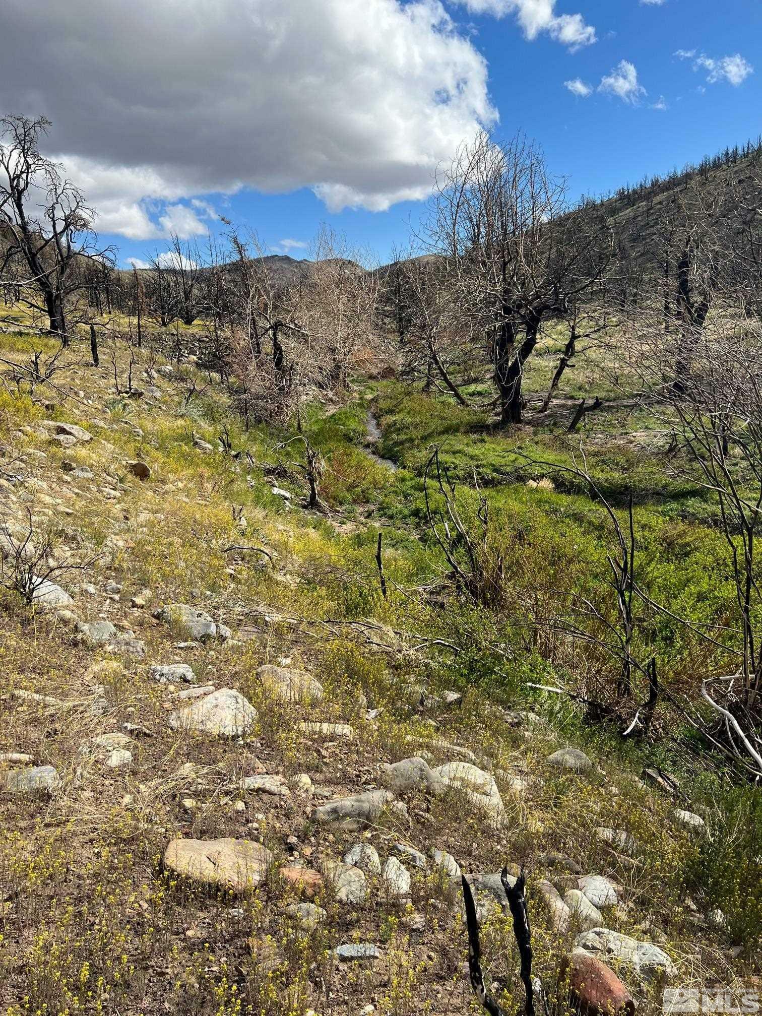 Property Photo: Tbd 7 Parcels At Pine Nut Creek Area NV 89410