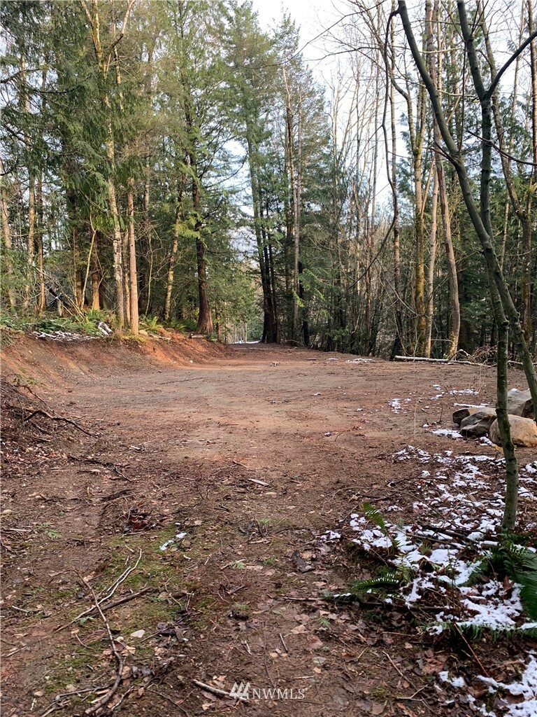 Property Photo: 0 S Pass Road WA 98295