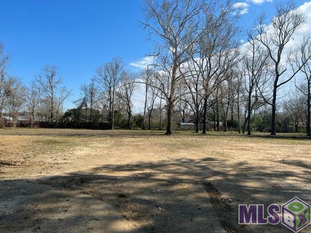 4667 Floynell Dr  Baton Rouge LA 70809 photo