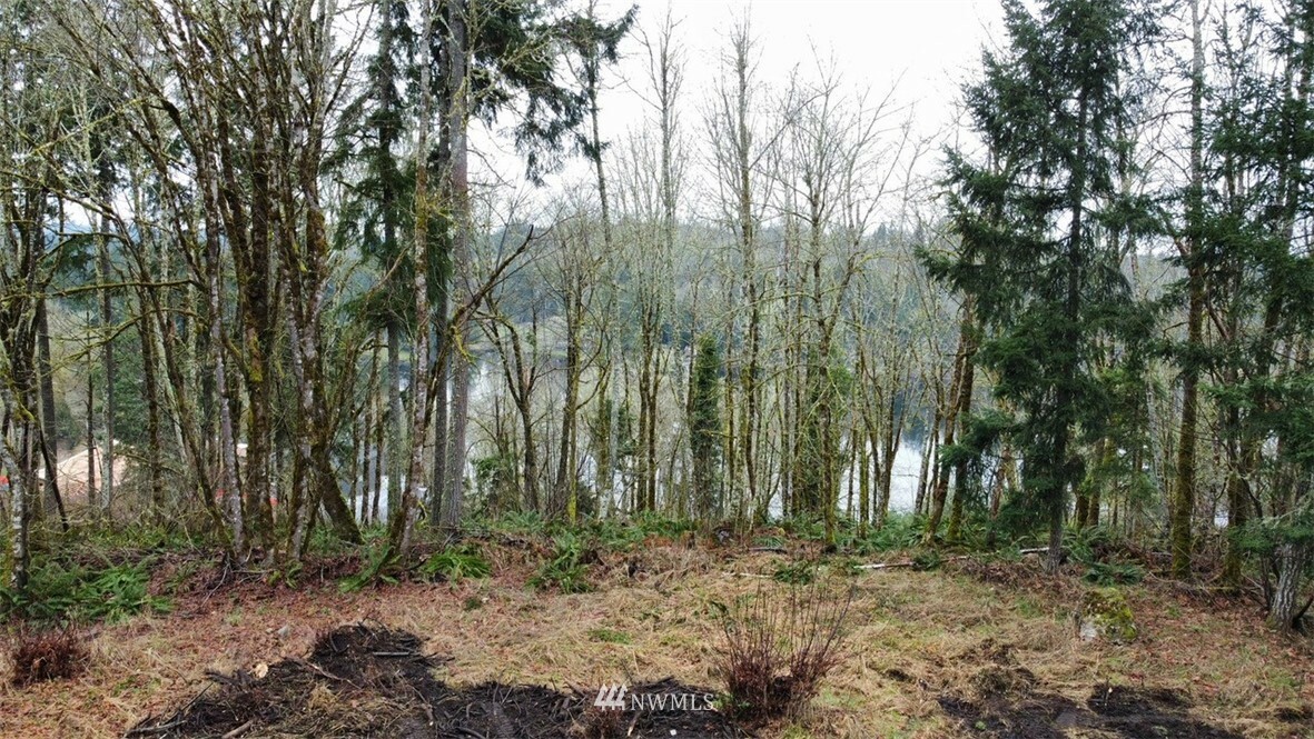 Property Photo:  0 Tempo Lake Drive SE  WA 98513 