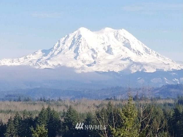 Property Photo: 44327 Tahoma View Drive E WA 98328