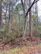 7200 Glen Hollow Drive  Moss Point MS 39562 photo