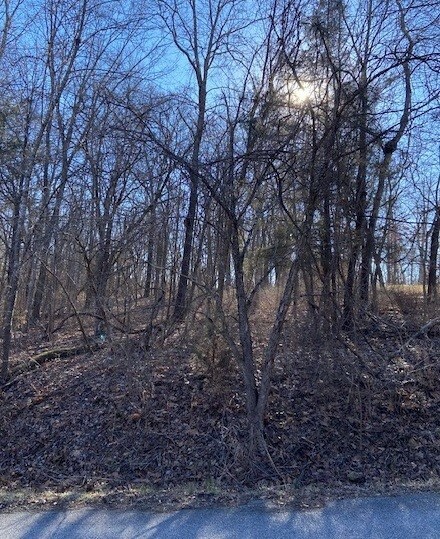 Property Photo:  Lot 8, Block 2 Winsford Circle  AR 72715 