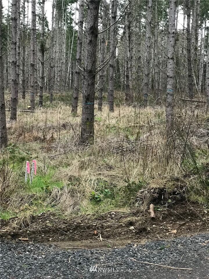 Property Photo:  0 NE Sawdust Hill Road Lot 2  WA 98370 
