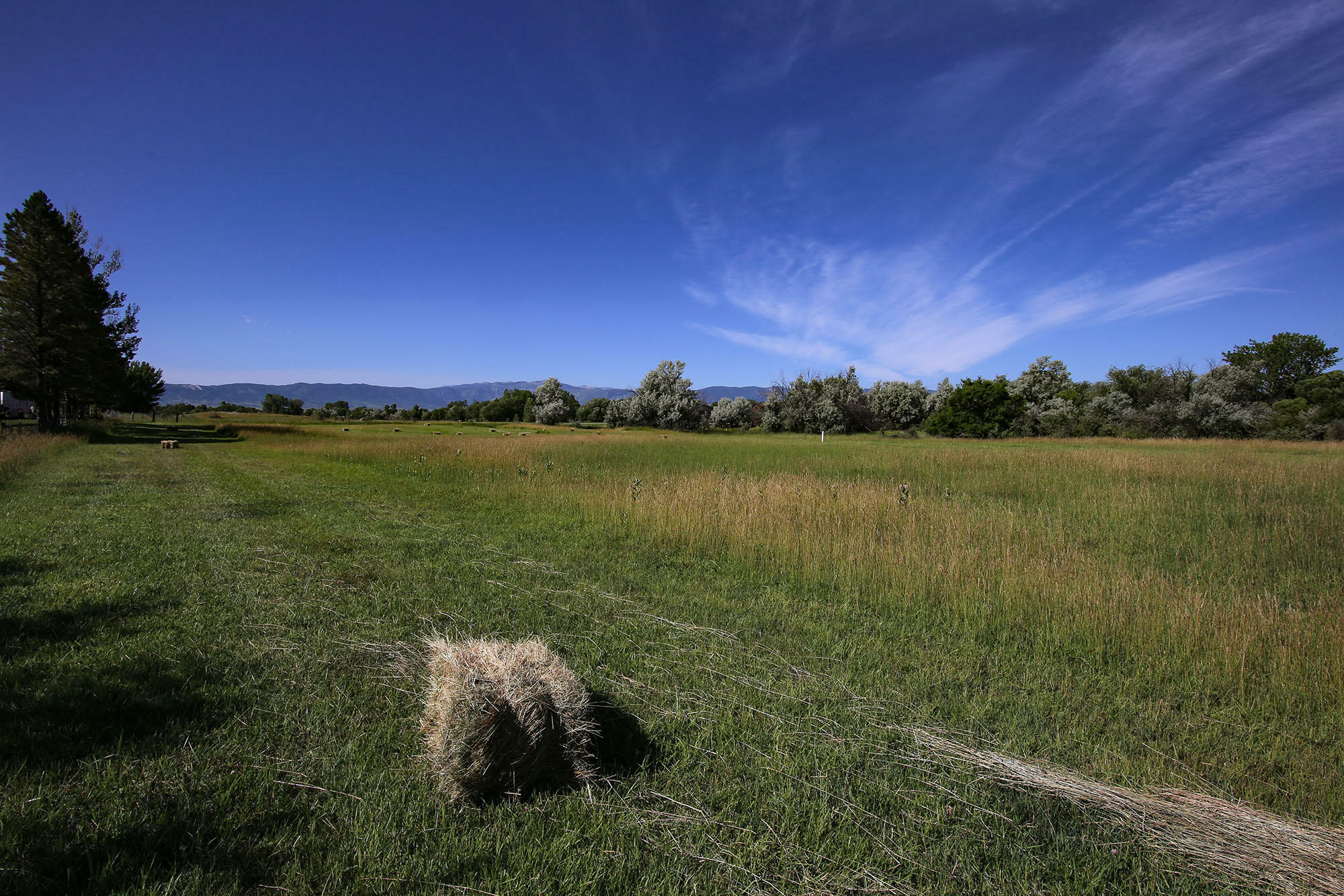 Property Photo:  3844 Coffeen Avenue  WY 82801 