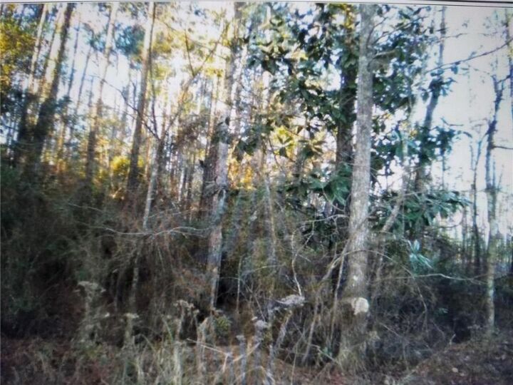 Tbd Buck Run Road  Simpson LA 71474 photo