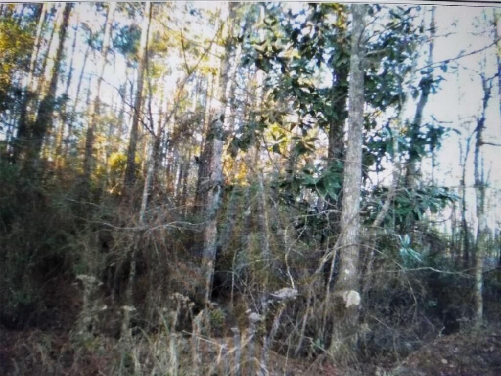 Property Photo:  Tbd Buck Run Road  LA 71474 