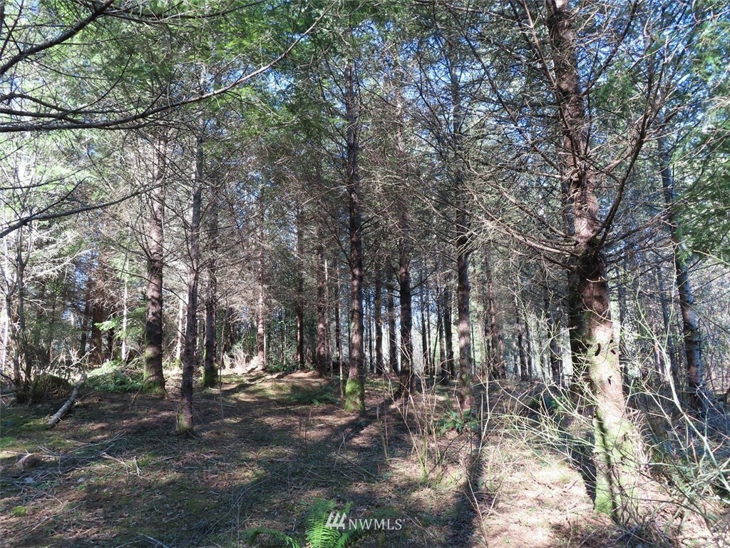 Property Photo: 0 Xxx Maki Road WA 98674
