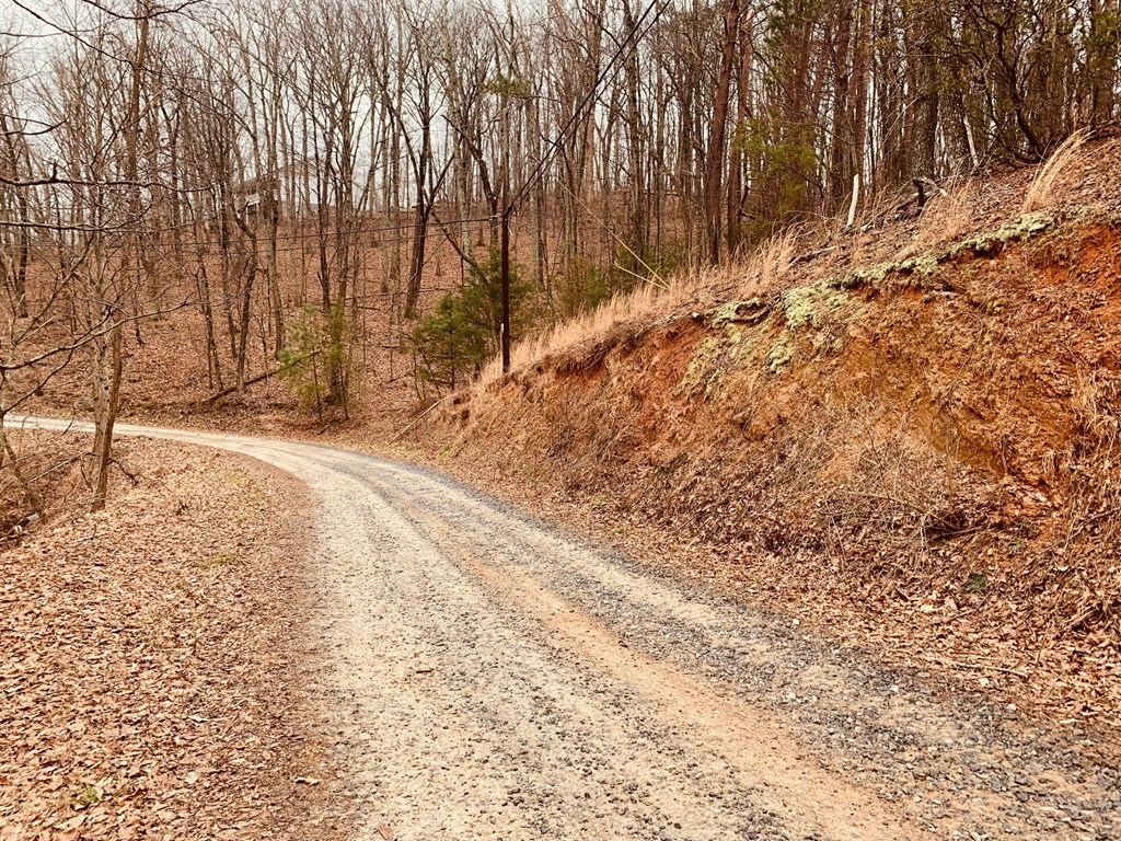 Property Photo:  0 Bull Gap Road  GA 30143 