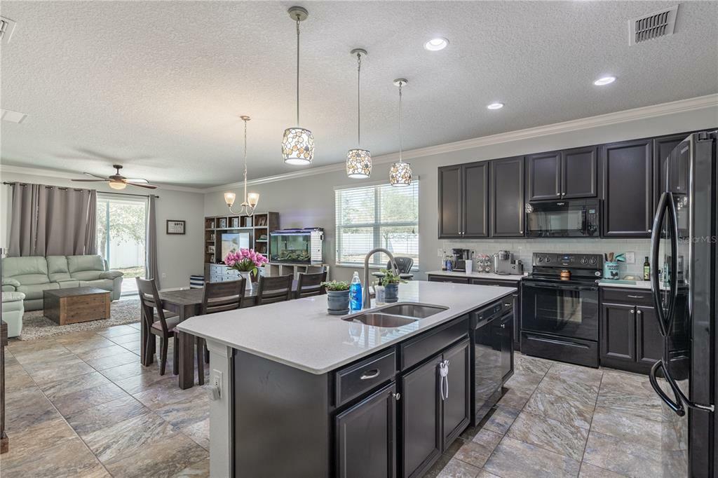 Property Photo:  1357 Merion Drive  FL 32757 