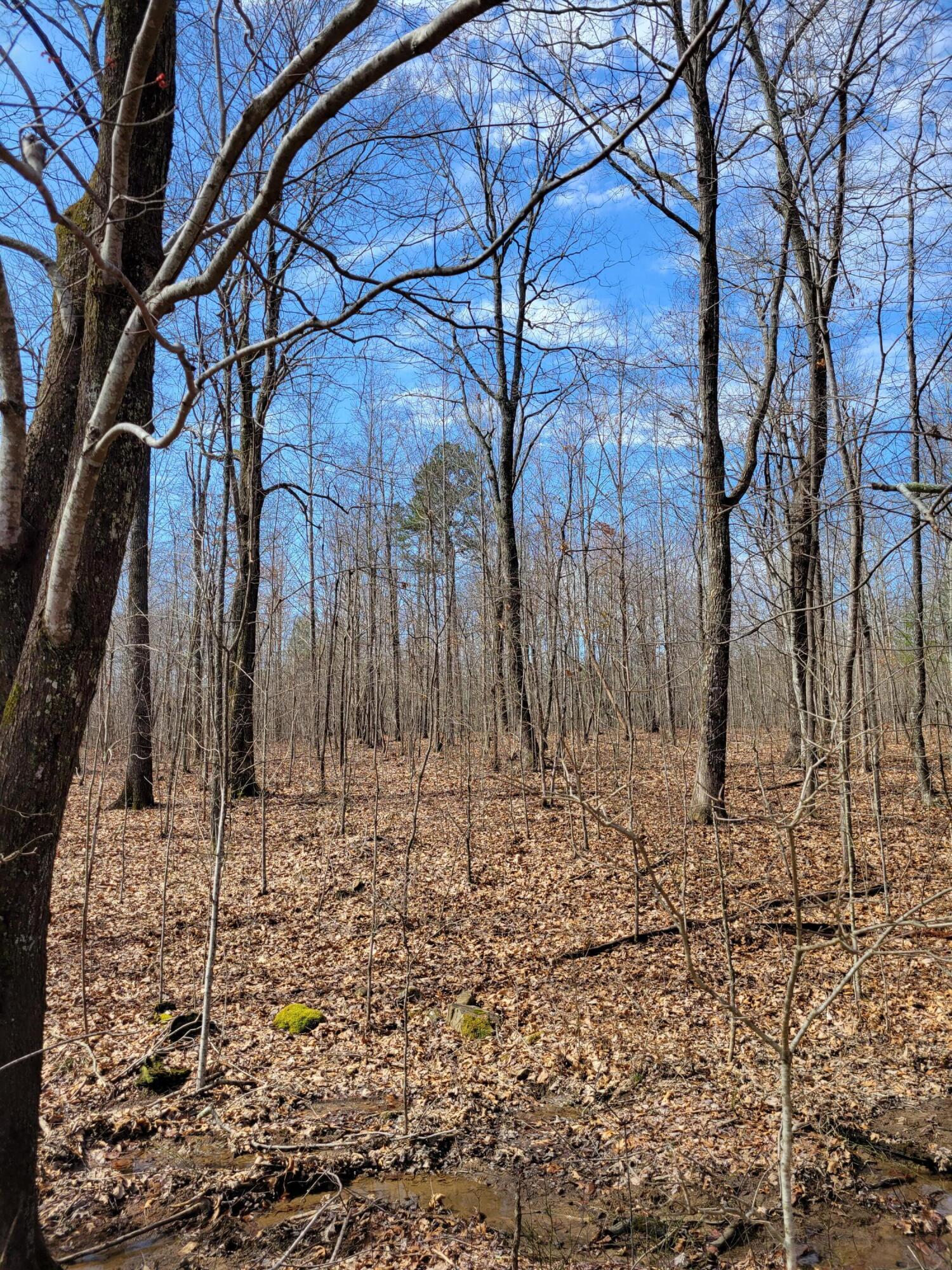 Property Photo: 38 Bluff View Drive TN 37327