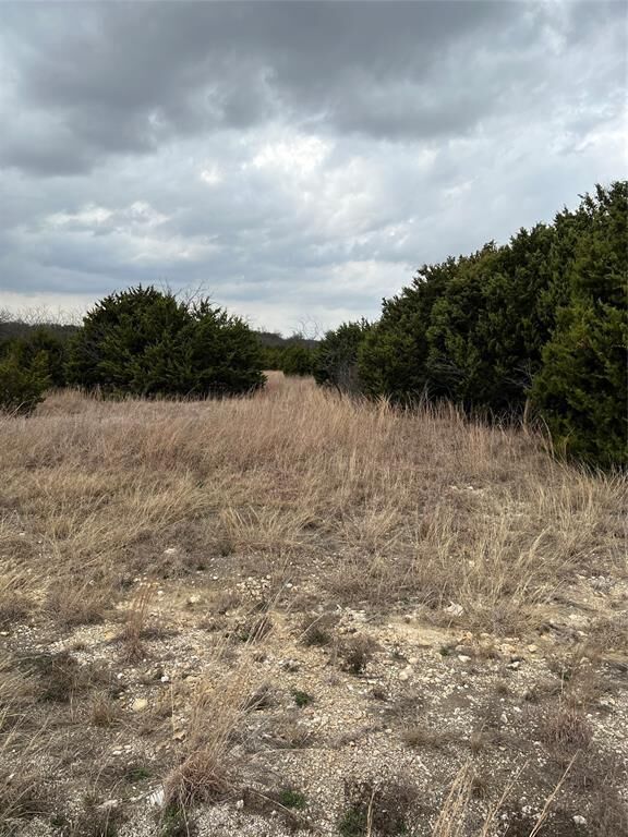 Property Photo:  1035 Eagle Ridge Drive  TX 76093 