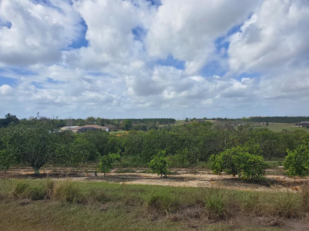 Property Photo: Waverly Road FL 33827