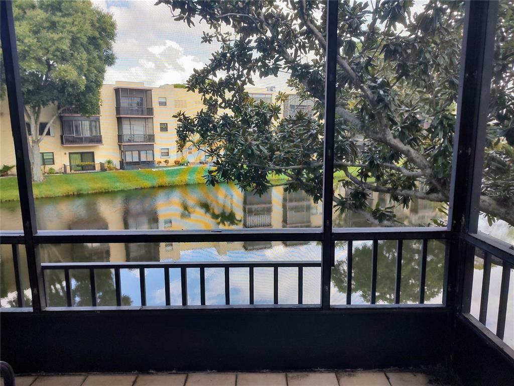 Property Photo: 7941 58th Avenue N 206 FL 33709
