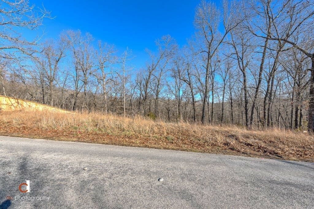 Property Photo: Lot 10 Pageant Drive AR 72756