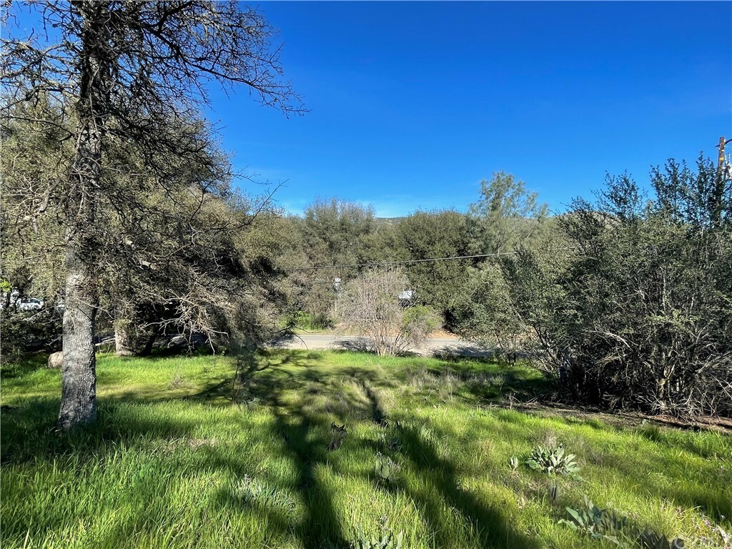 Property Photo:  13161 Country Club Drive  CA 95422 