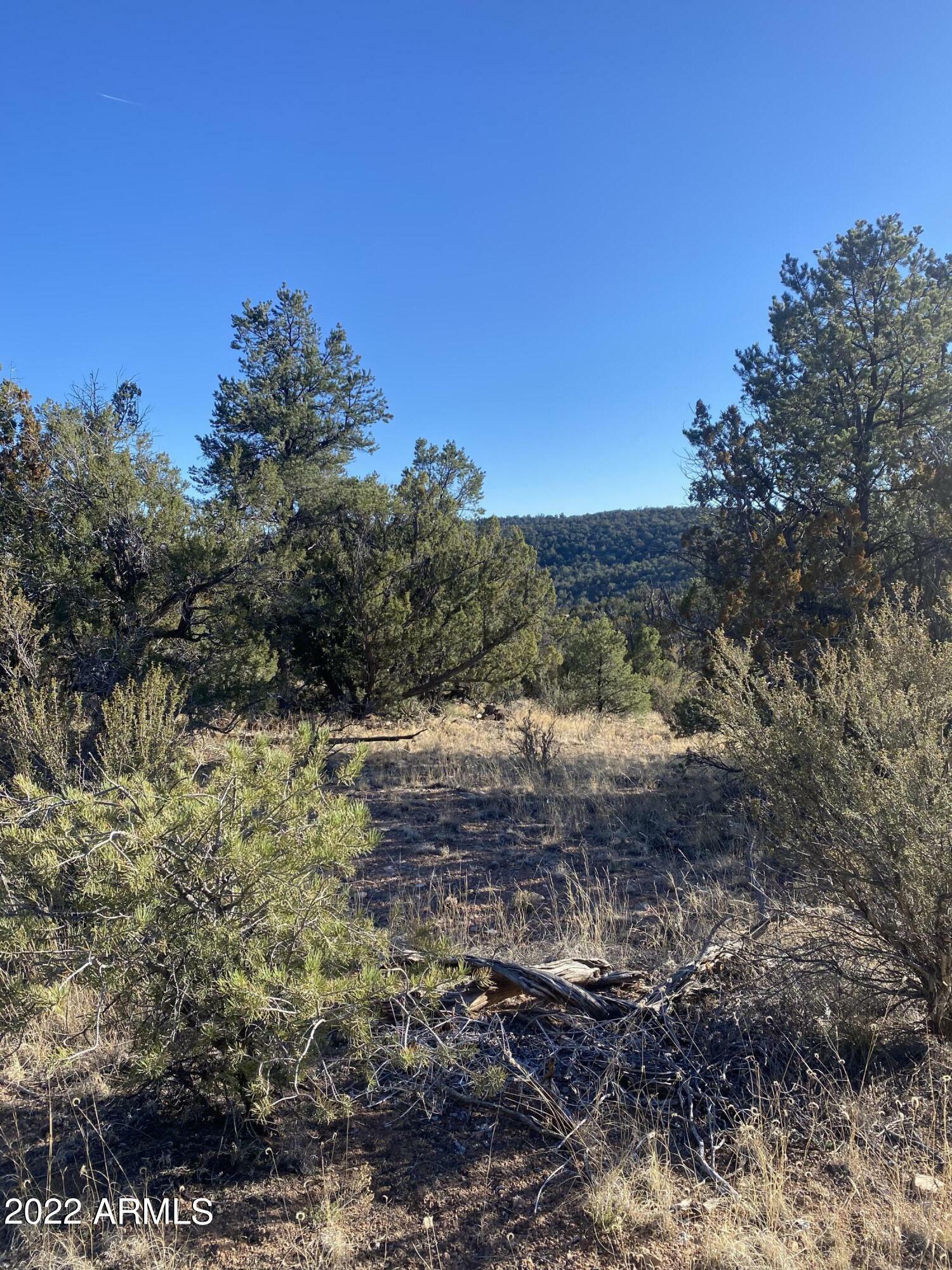 Property Photo:  51804 N Cordero Road 3385  AZ 86337 