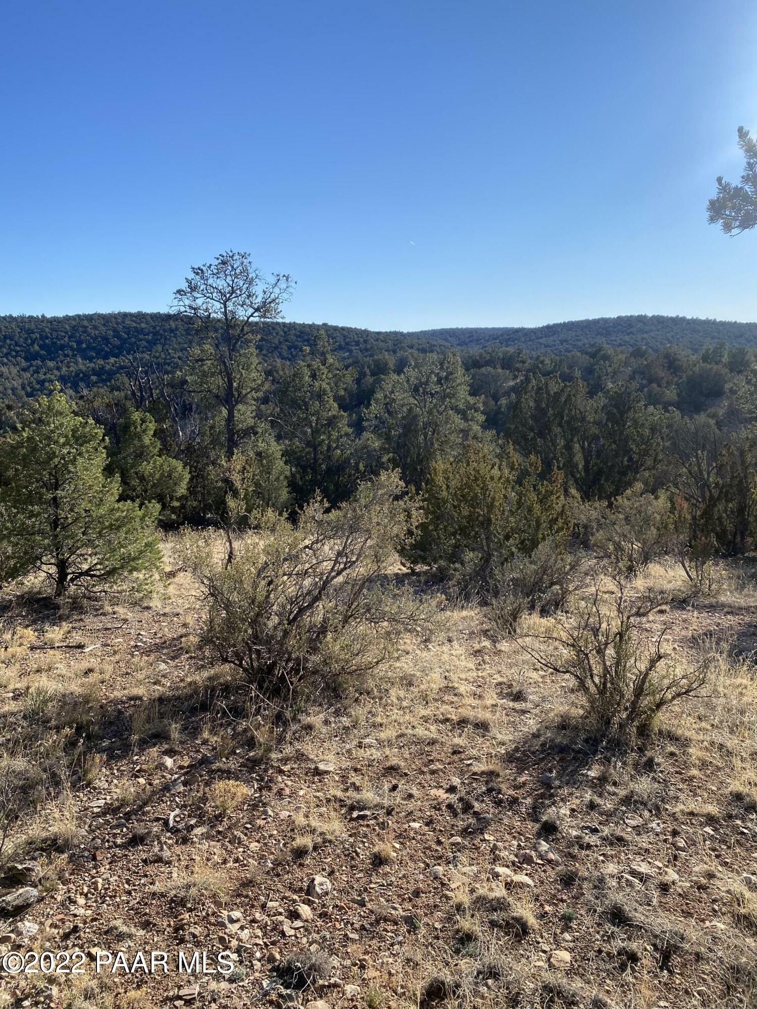 Property Photo:  51804 N Cordero Road  AZ 86337 