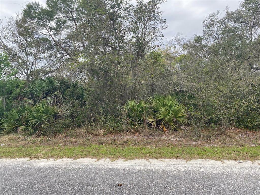 Property Photo:  6th Avenue  FL 32724 