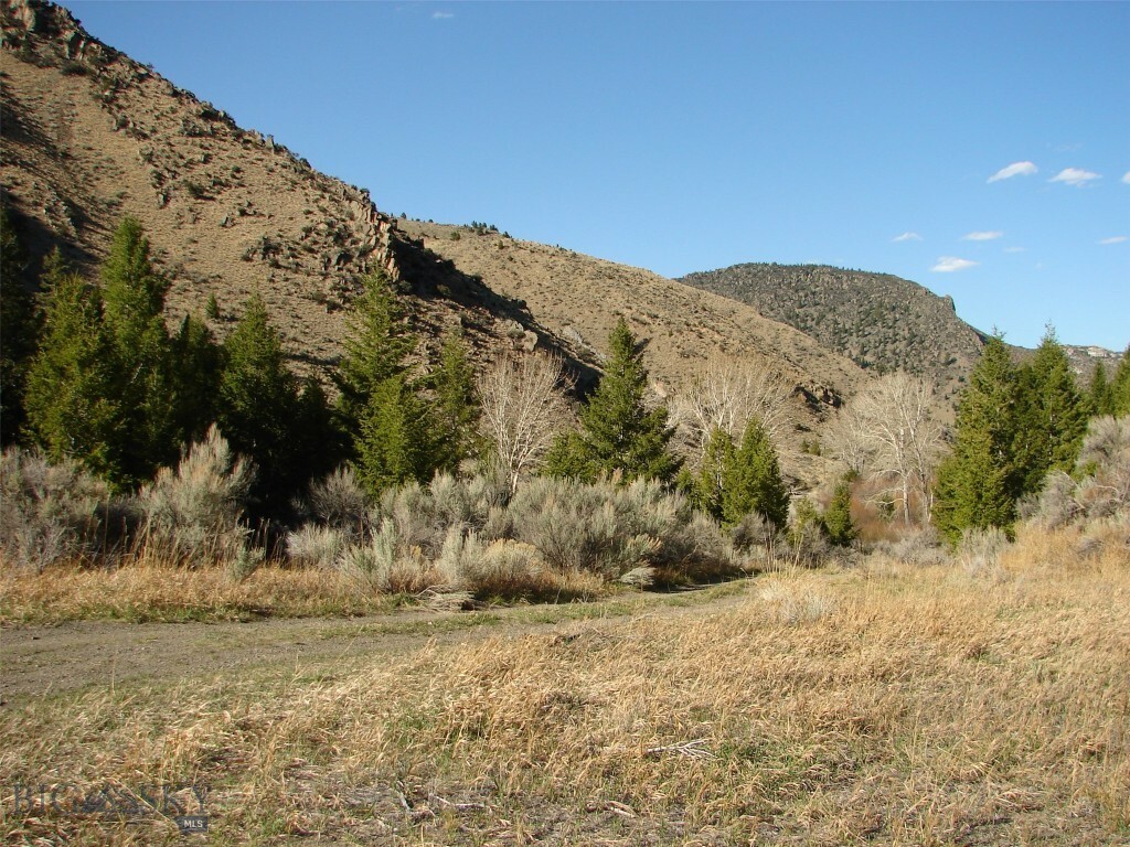 895 Lower Canyon Creek Road  Divide MT 59727 photo