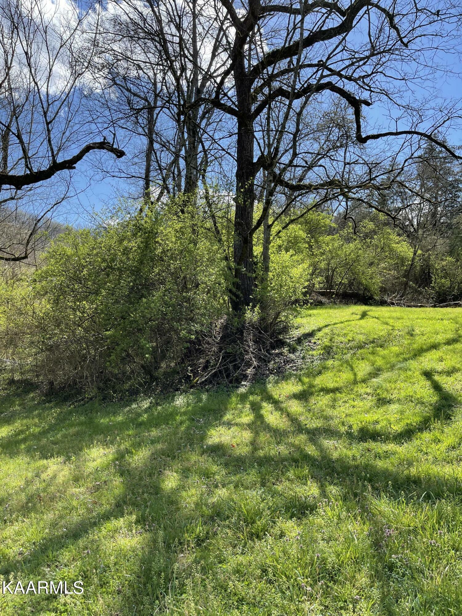 Property Photo:  8127 Neubert Springs Rd  TN 37920 