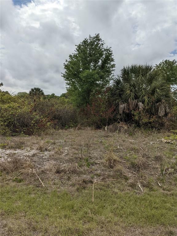 Property Photo:  7267 Stacy Lane  FL 33981 